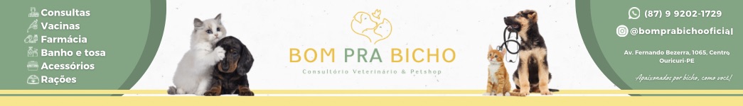 Bom Pra Bicho